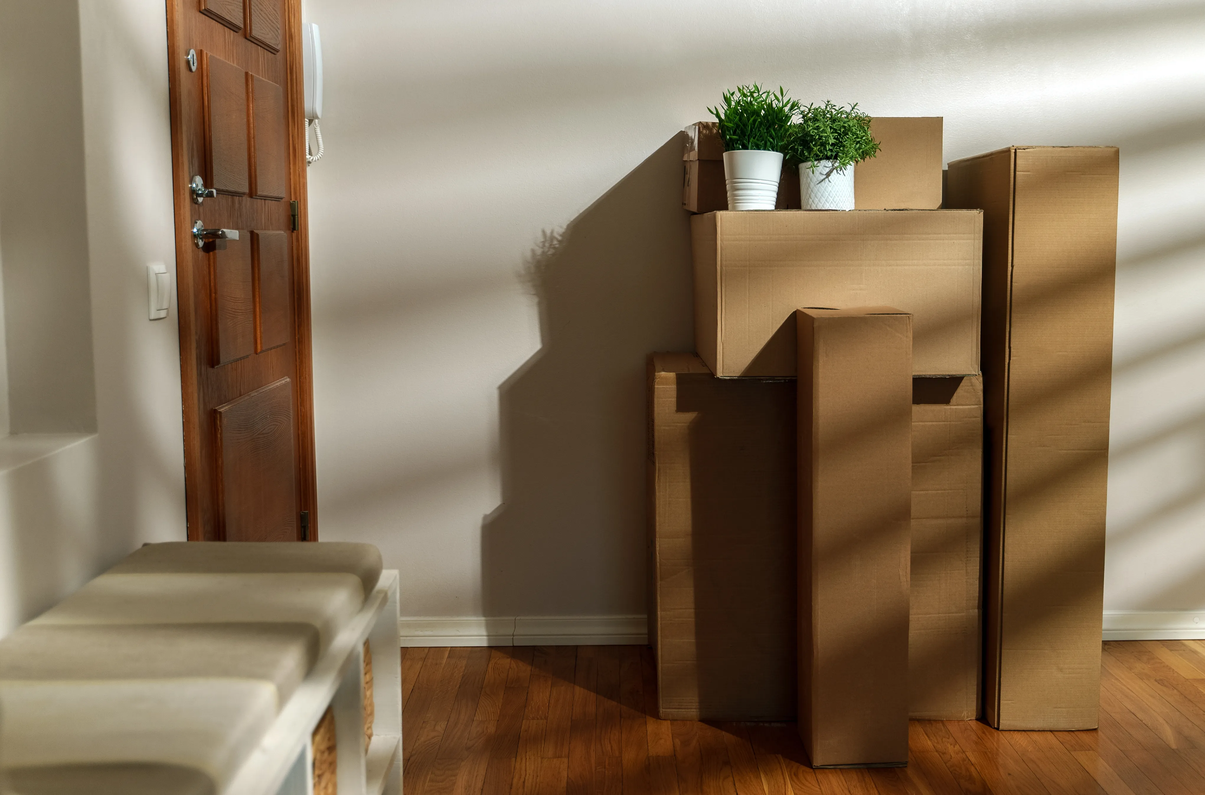 Cardboard moving boxes stacked beside the front door of an empty house, two potted plants on top, with afternoon light through the blinds falling across the wall.